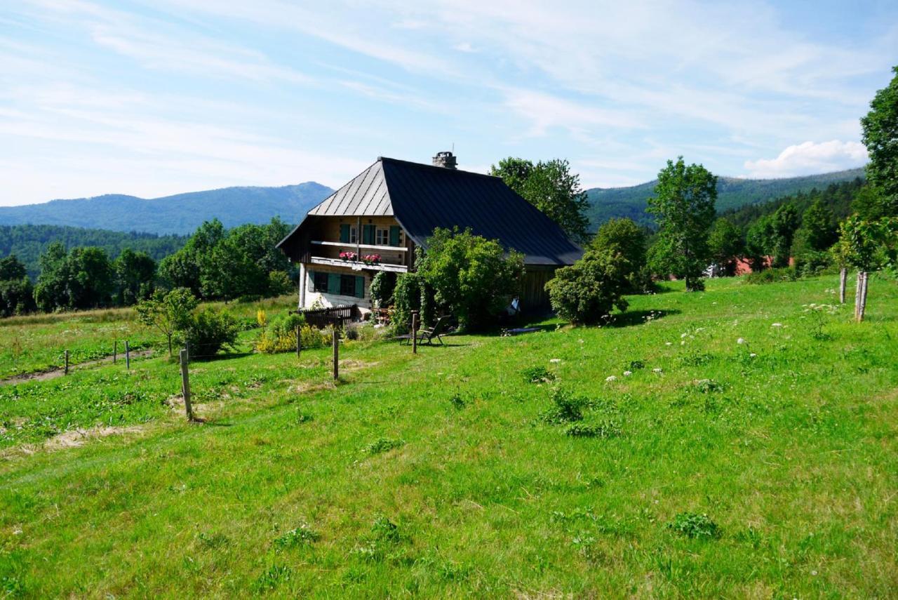 Pension Draxlerhof Neuschoenau Exterior photo